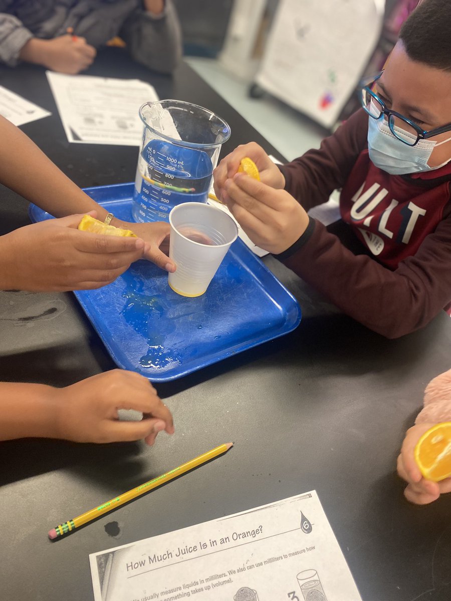 MsRay_Teach's tweet photo. 3rd grade medical scholars investigating the amount of water in an orange @Elrod_HISD https://t.co/ifBROrjeSc