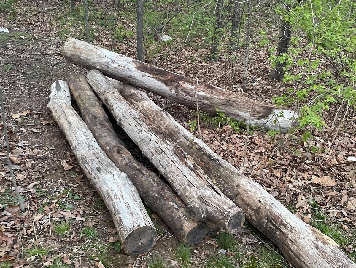 growruck28nwa's tweet photo. Picked up some logs yesterday. The pax are getting ready for GTE 28 in Rogers Arkansas - are you going to join us? @GrowRuck @F3Nation @F3NWArkansas https://t.co/1c9mgY96VC