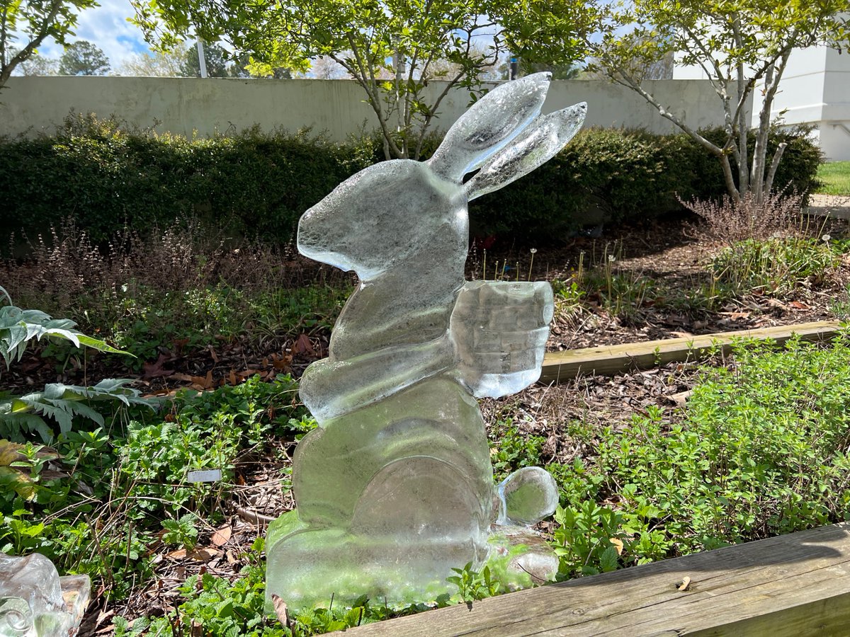 Ice ice baby! #WakeTech #culinary students tested their skills at frozen art today during a fun #icesculpture project. Using saws, chisels and grinders, they created amazing showpieces!