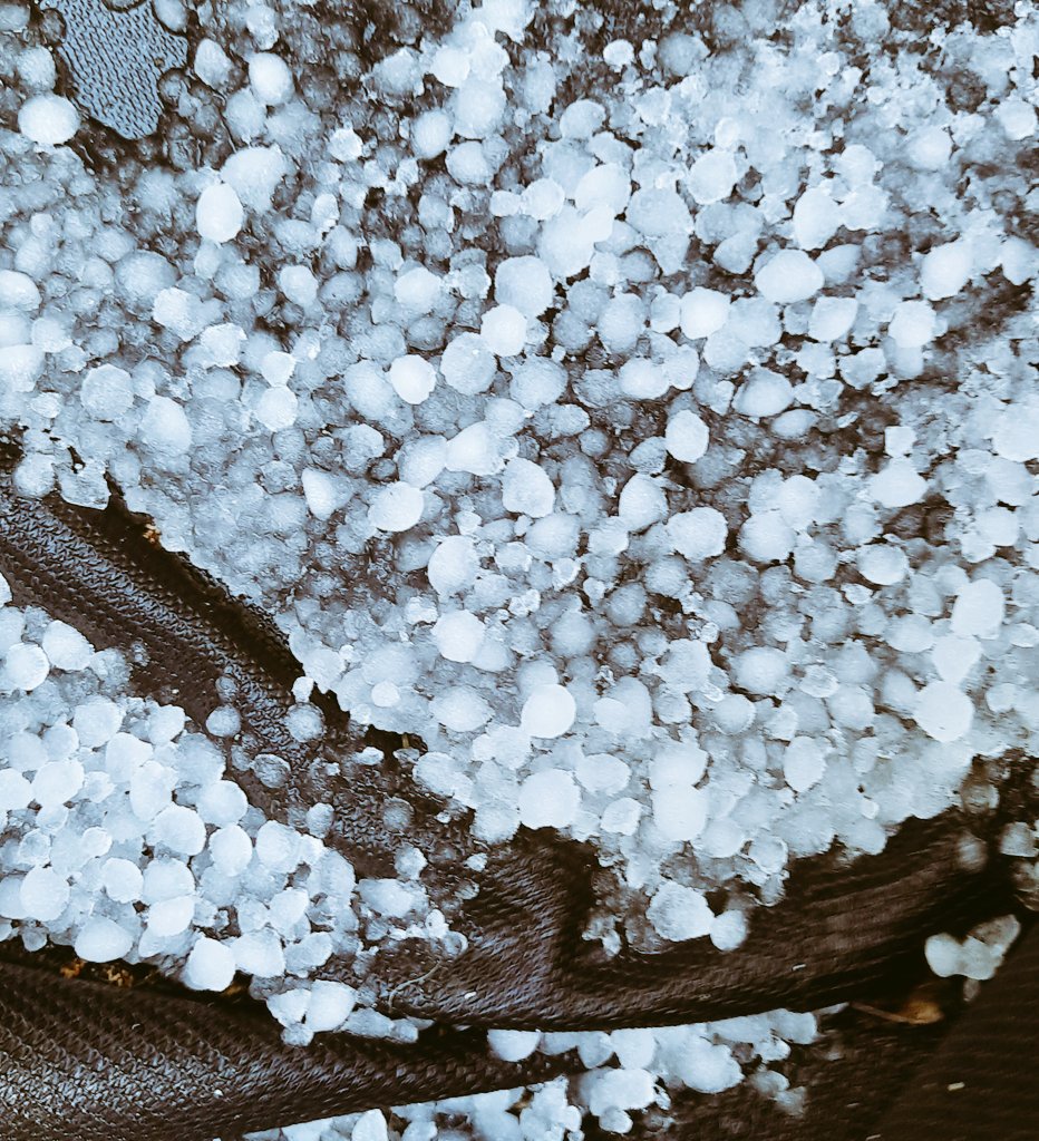 McflegM's tweet photo. @JamieBrysonCPNI sorry mate. Hailstones as big as marrowfat peas. Was due to take 14 bus loads to the protocol rally tonight but its too cauld. Maybe next week. #Noseyborder #onionsubjugatingprotocol 
🇬🇧🇬🇧🇬🇧🇬🇧🇬🇧🇬🇧🇬🇧🇬🇧🇬🇧🇬🇧💙🤍❤💙🤍❤💙🤍❤ https://t.co/aZx1bXvJyl