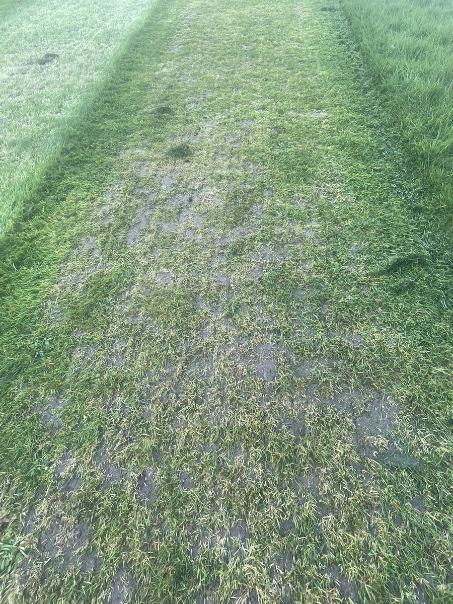 Highground1999's tweet photo. Out with the Amazon smartcut today @dalesleominster getting there outfield ready for new season https://t.co/wi0BwmRJf0