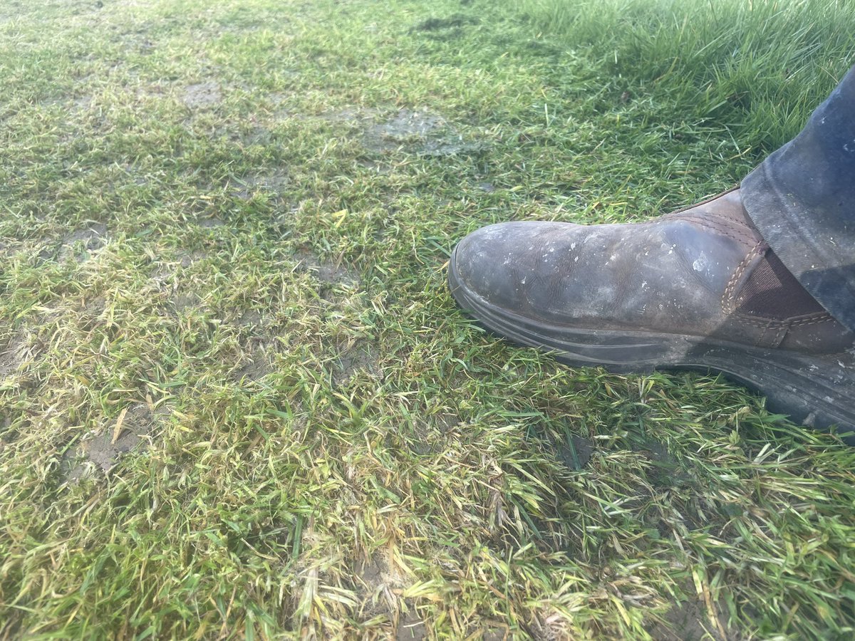 Highground1999's tweet photo. Out with the Amazon smartcut today @dalesleominster getting there outfield ready for new season https://t.co/wi0BwmRJf0