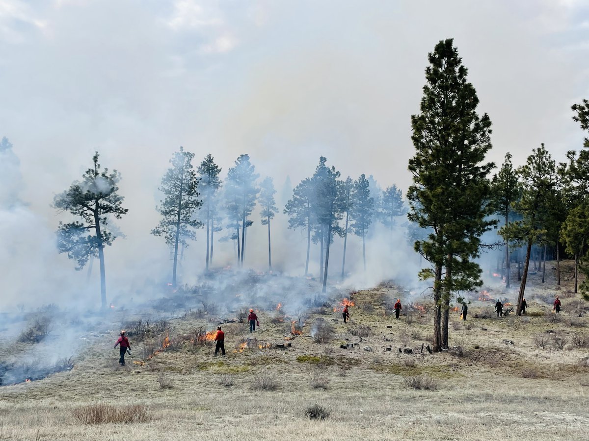 East Kootenay's prescribed fire partnership came together yesterday to pull off a strategic prescribed burn at the Canadian Rockies International Airport. Great work everyone! #GoodFire