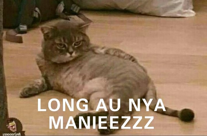 doysecretlover's tweet photo. @laur3n_shanniee BAGUSSS, ditunggu ya : https://t.co/6zCnllwjcg