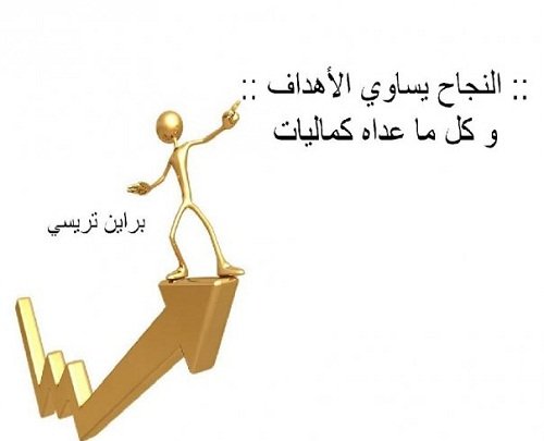 Amira Abd Elkader tweet media