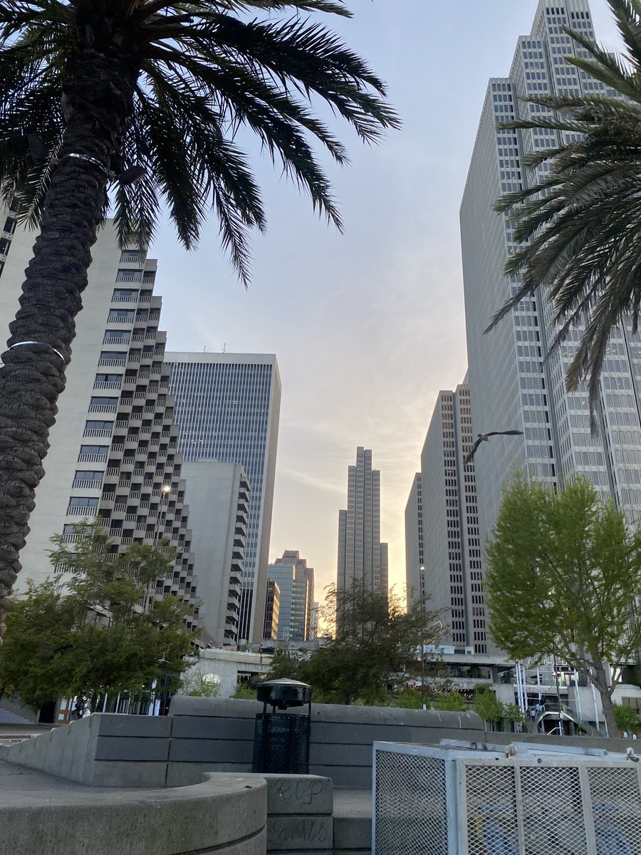 A beautiful couple of days in San Francisco finally doing some in person meetings and sharing about the wonderful opportunities in @selectsac