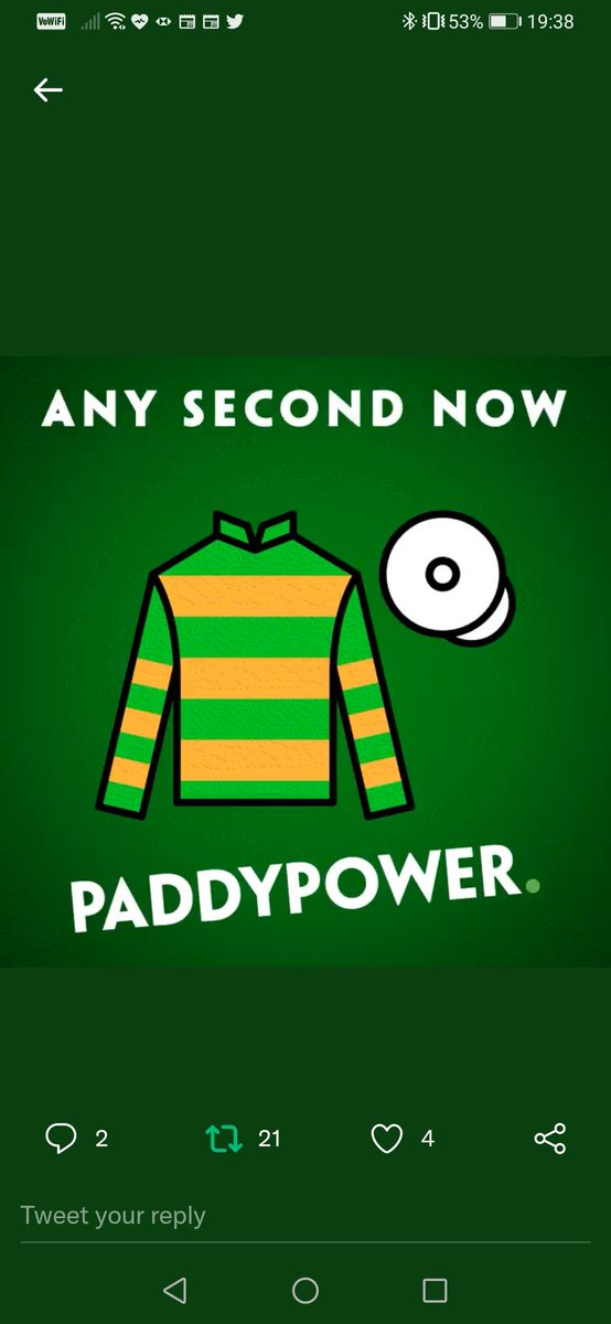 73PTH's tweet photo. @paddypower https://t.co/hrtKIIfBaU