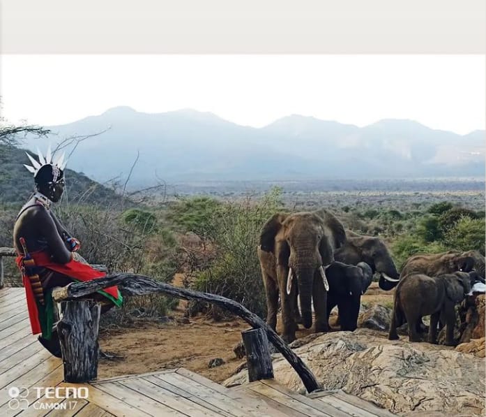 Indigenous people are custodian of the land and caretakers of flora and fauna.