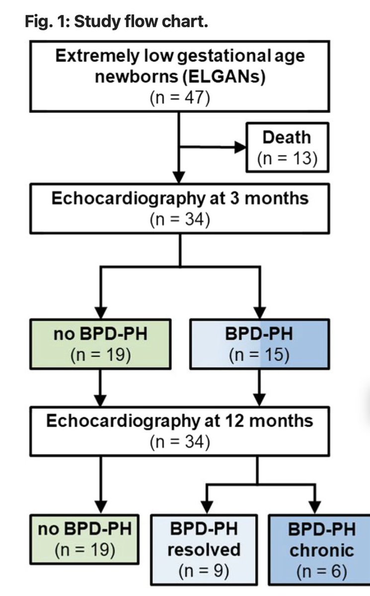Are infants surviving birth at the lowest gestational ages at particularly high risk of developing BPD associated pulmonary hypertension? 

New #foamneo report published in <a href="/JPerinatology/">Journal of Perinatology</a>:  rdcu.be/cKXH3

#neotwitter #neoebm