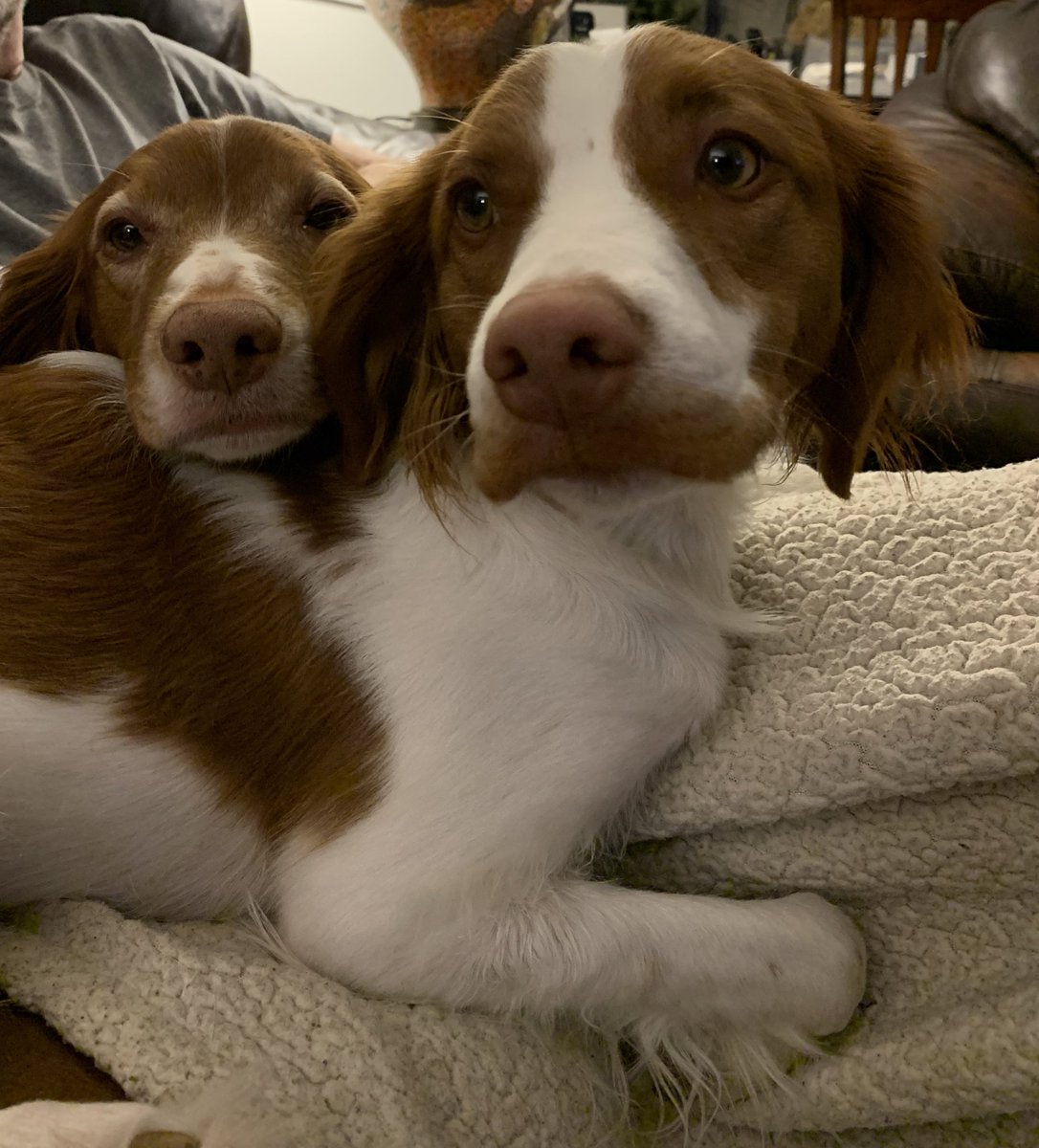 Tami Anderson tweet media