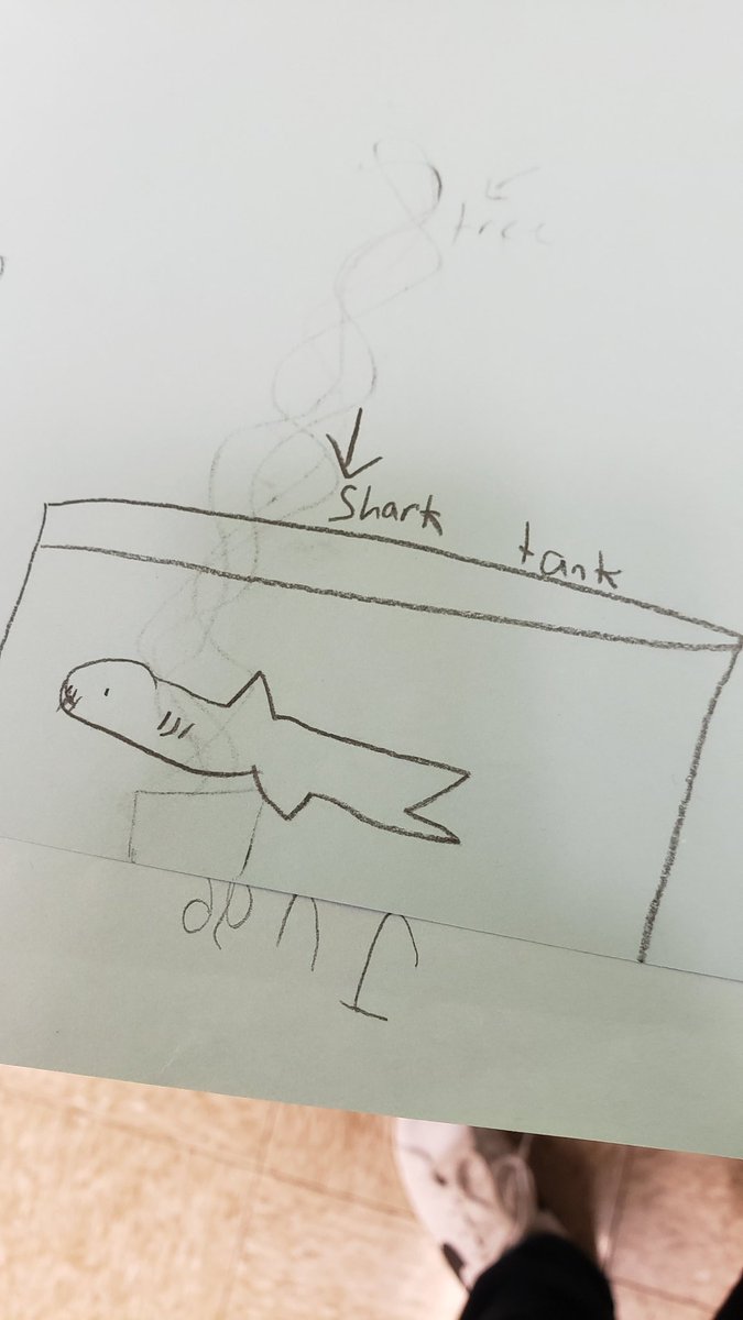 Library_PVMS's tweet image. Inspired by @mrchrisvandusen 3rd and 4th grade students @PViewSPS reimagined our library space for #SchoolLibraryMonth
I could handle a sloth but maybe not a shark!
#MyLibrary 
#spslib