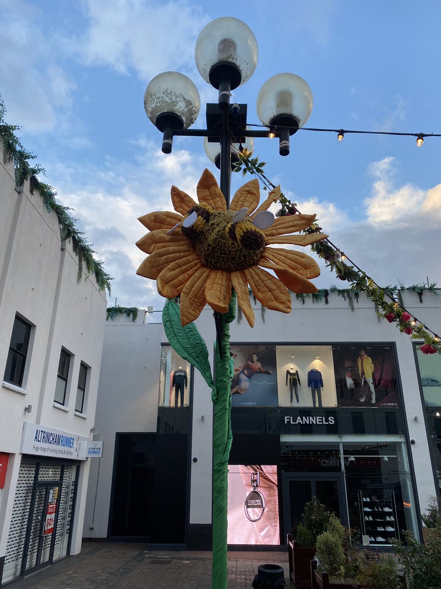 altrinchamhq's tweet photo. The Not So Secret Garden has had a spring makeover 

Love it @stamfordquarter @stutter_twitch 

#altrincham https://t.co/jUAiYEwYg4