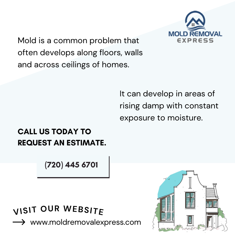MoldRemovalXP's tweet photo. Mold is a hidden danger. It may develop in areas of rising damp with constant exposure to moisture.
Do you have mold or mildew in your residential or commercial property?
Call us today to request an estimate #Denver: (720) 445 6701 | #ColoradoSprings: (719) 344 2222 https://t.co/rOBX6lRnJh