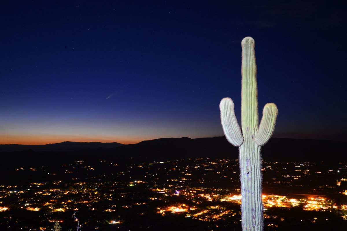 Trip To Blog tweet media