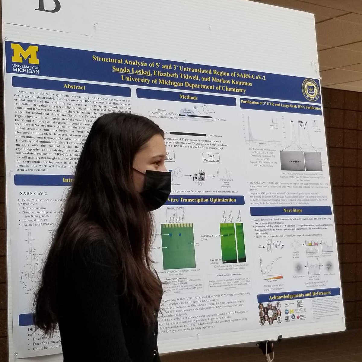 Koutmos Lab tweet media