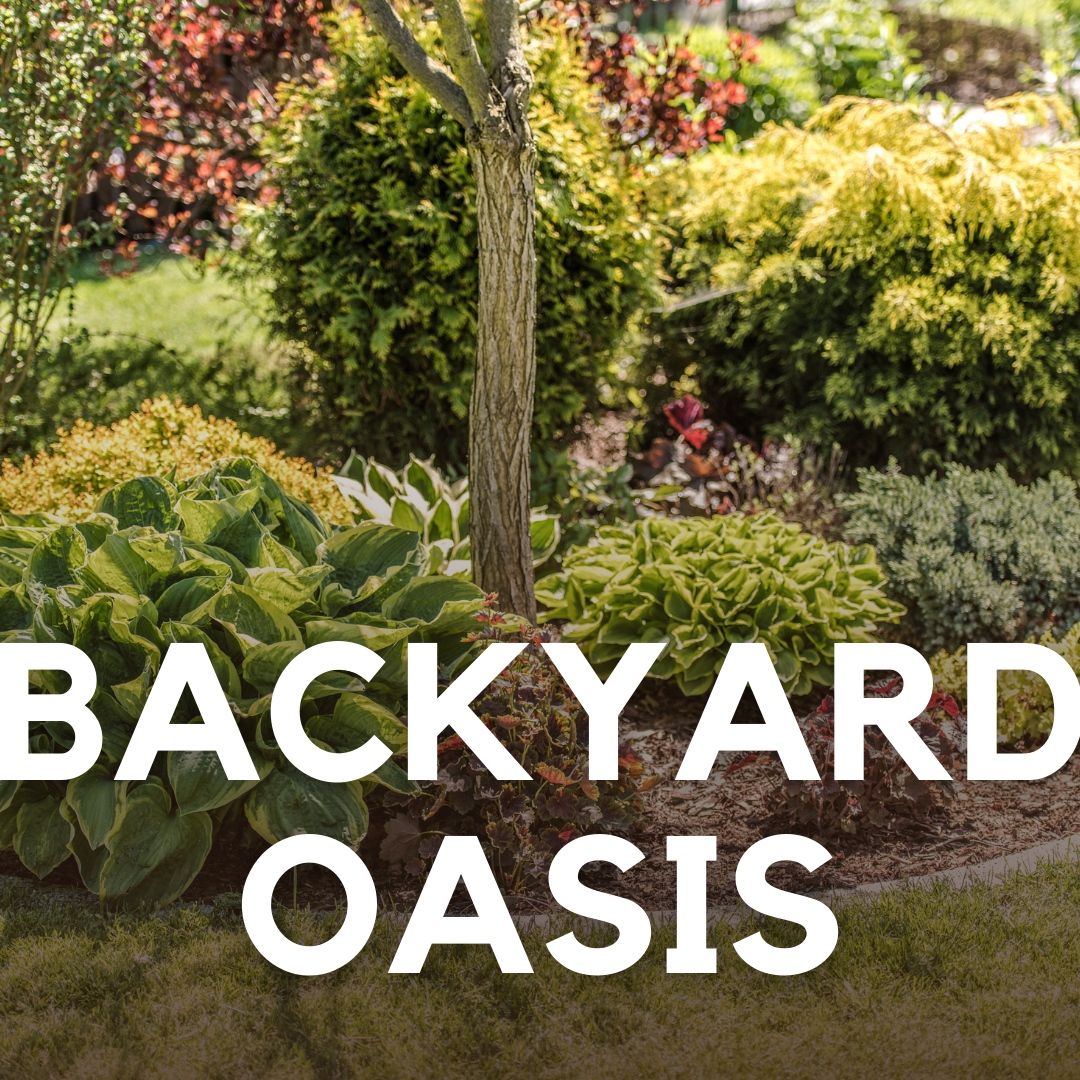 Finally for Friday and the weekend, take a minute today and write down all those projects you’ve been putting off.

Take this weekend to spruce up your backyard, apply a fresh coat of paint, or tight those nuts and bolts throughout the house! 

#realestateagentonamission #hou...