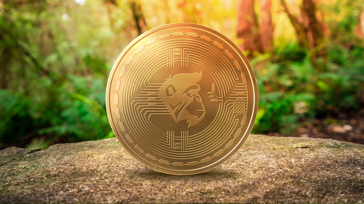 Hi Prime Family!

We just dropped roadmap 3.0 on our Discord! Here’s a quick summary! 🔥⬇️