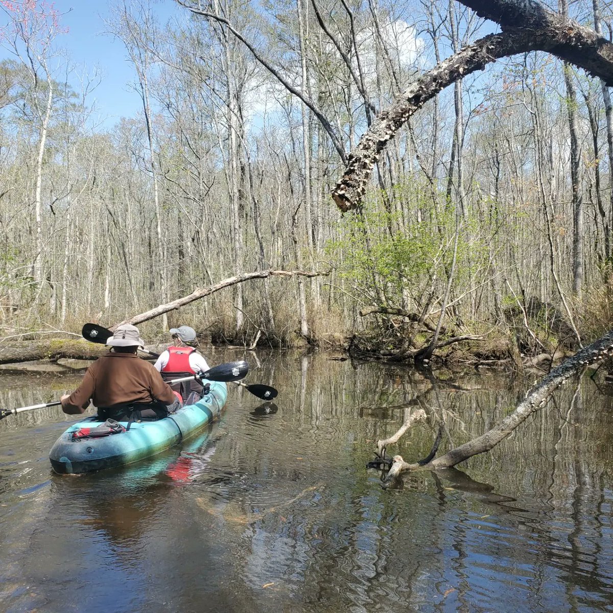 Adventure Kayak Tours tweet media