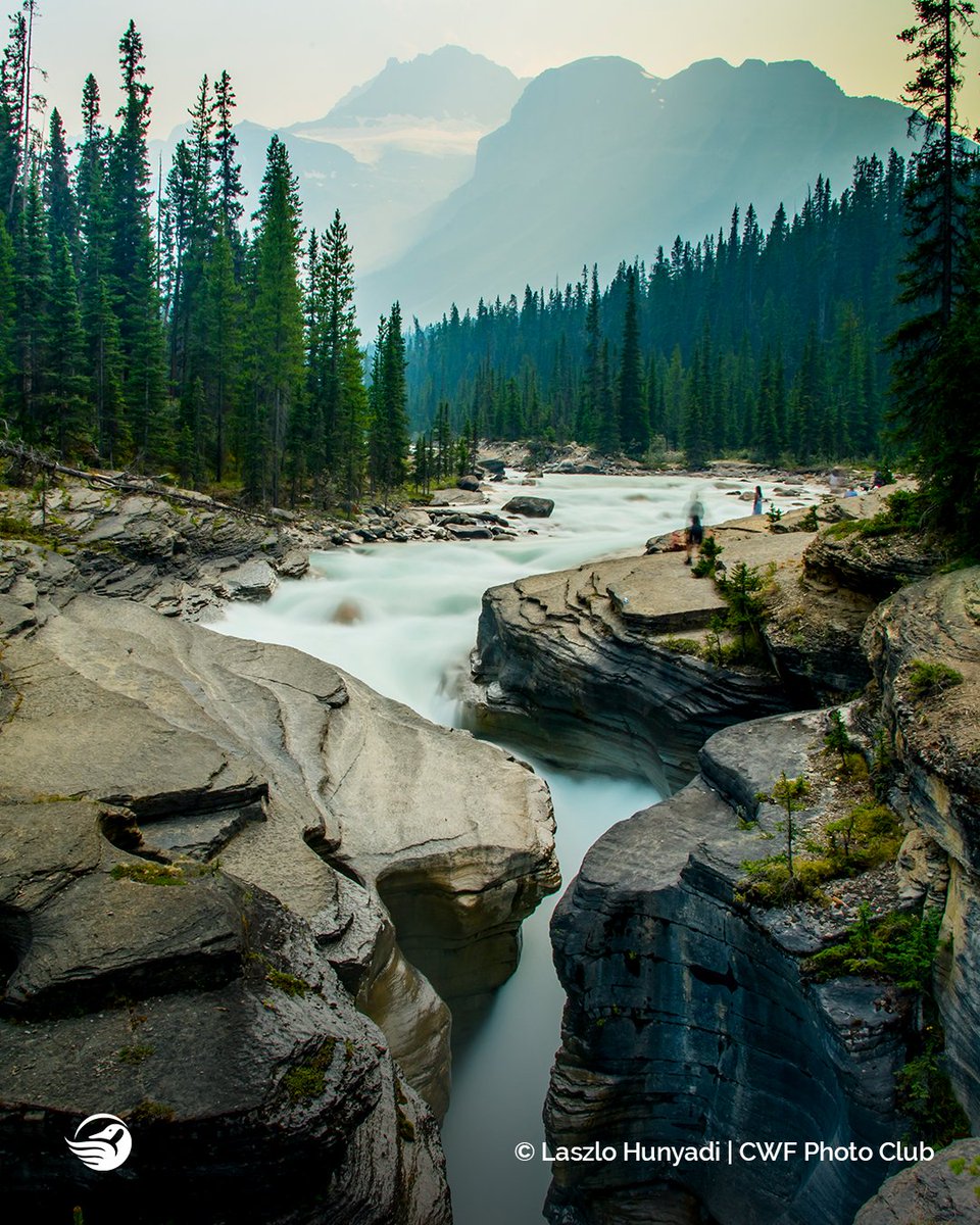 CWF_FCF's tweet image. Enjoy this calming photograph from Banff National Park. This shot was the Runner Up in the 'Canadian Landscape' category of 2021's #ReflectionsOfNature Photo Contest! ⛰ ow.ly/uE8u50IxQqo