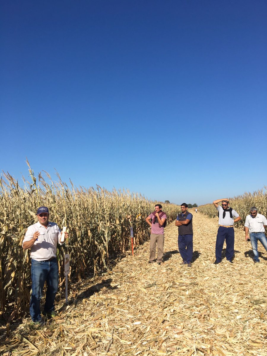 Gervasiovaresini (@gervasiovaresi1) on Twitter photo 