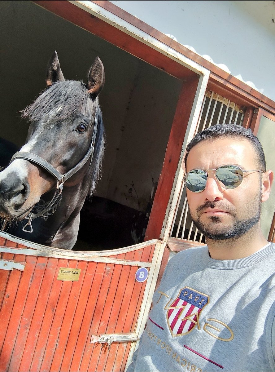 fatyhvarkal's tweet photo. Tam çiftlik mevsimi🍀☀️🐴
#KurtStud https://t.co/cPiQNw5xaa