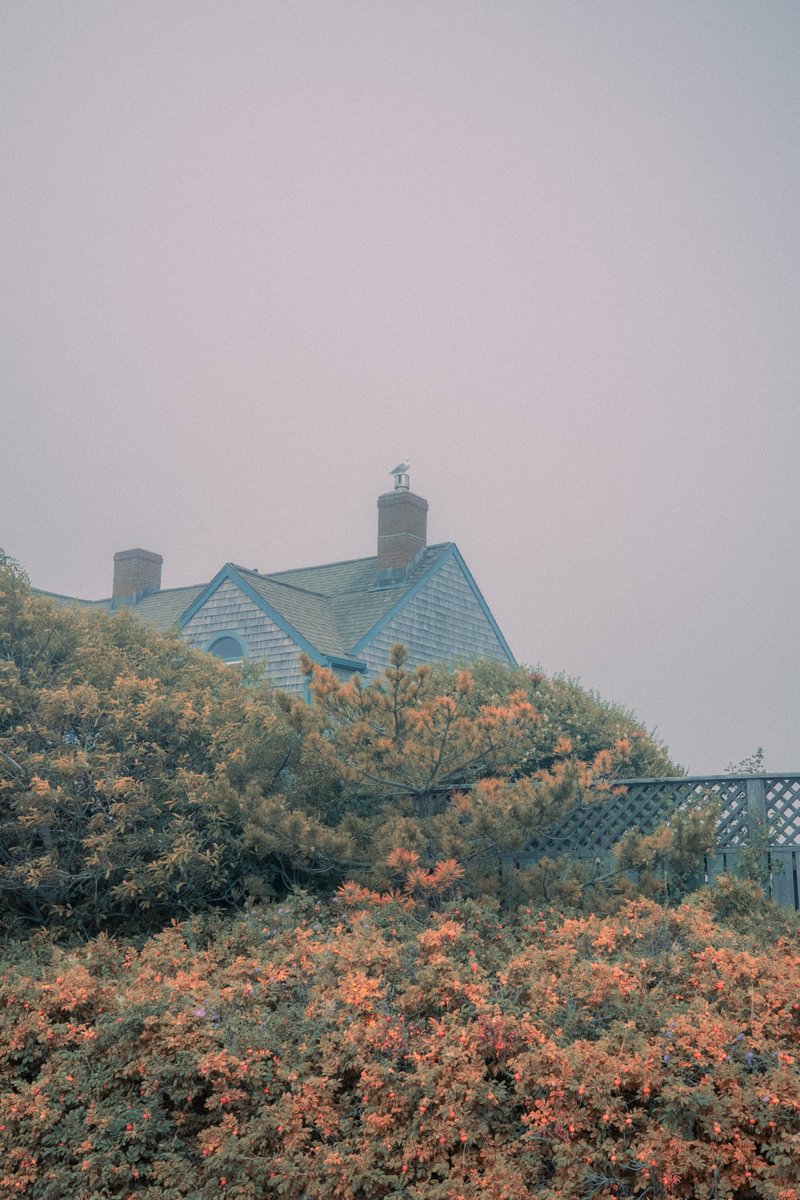 bryanpjackson's tweet photo. Watching the fog recede https://t.co/CBQGN5u5HO