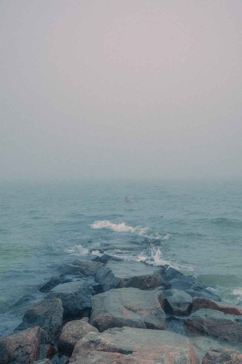 bryanpjackson's tweet photo. Watching the fog recede https://t.co/CBQGN5u5HO