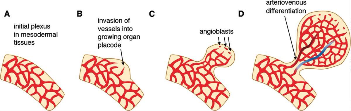 Ondine Cleaver tweet media