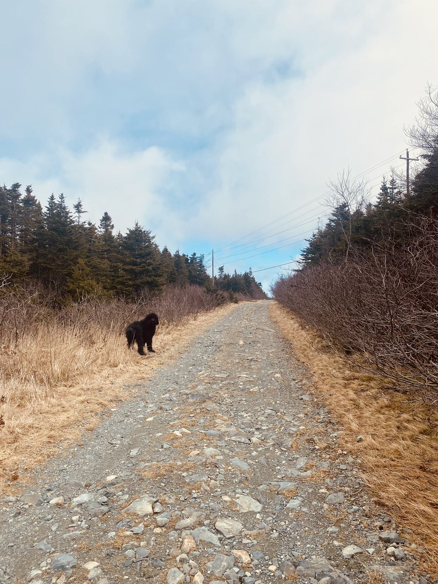 Karen Peddle (she/her) tweet media