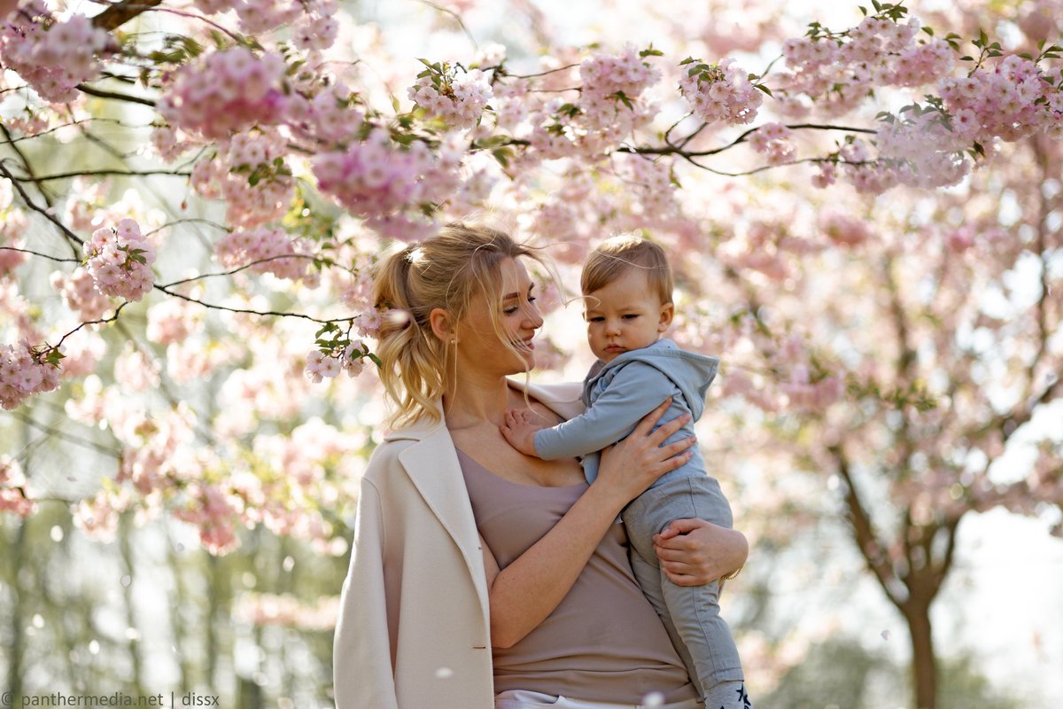 kinderleicht_be's tweet photo. 😊 Wo ihr in #Berlin & #Brandenburg mit Kindern #Kirschblüten finden könnt:
https://t.co/DWUGhvvpeq 🌸
📸 Nutzt doch die Chance für neue Familienfotos unter blühenden #Kirschbäumen! 👧🧒🌸
#kinderleichtberlin #kidsinberlin #berlinkids #berlinmitkind #berlinmitkindern #sakura https://t.co/SWbH5B8BEB