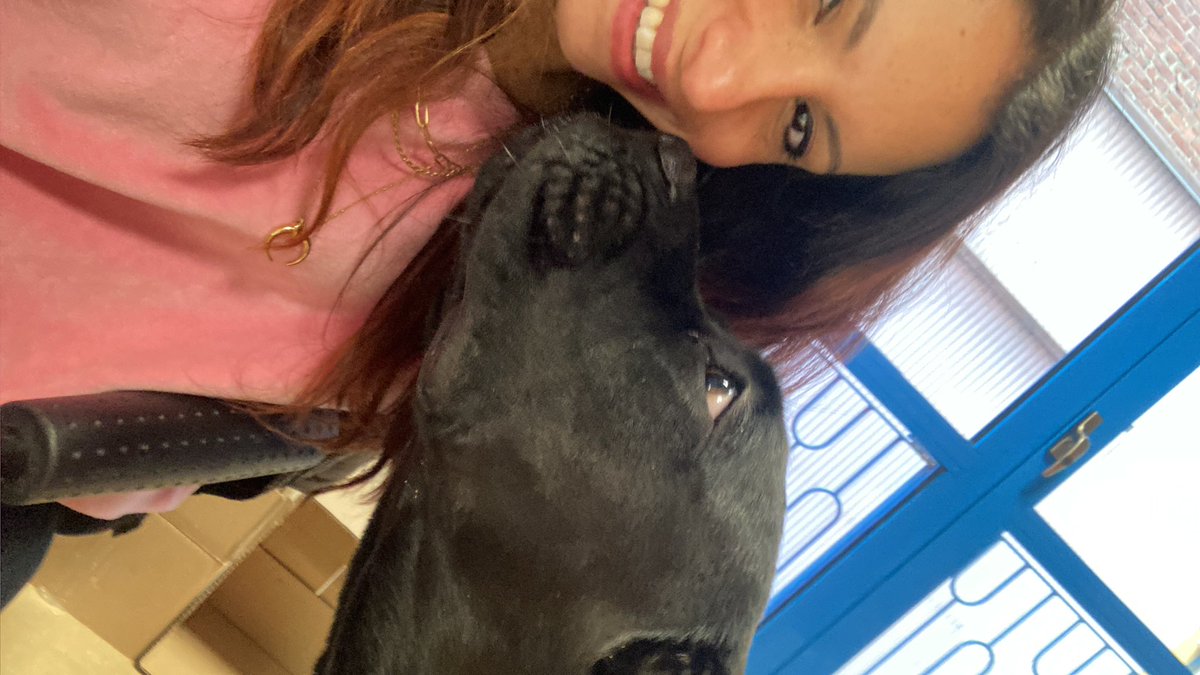 Ladycherry87's tweet photo. L’#uomo deve sempre #imparare dagli #animali soprattutto dal #cane ! #life #love #animals #dog #kaleese #regina https://t.co/xE55PHlZtH