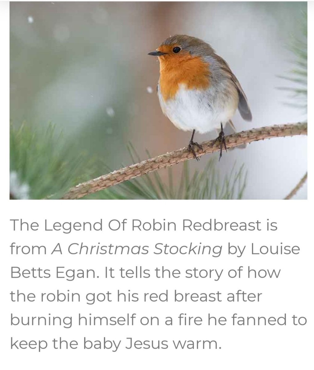 #voormiek
Liefste <a href="/MiekKoopmans/">miek koopmans🐝</a>, dank voor de pracht die je de wereld in twitterde. Dank voor je optimisme. Dank voor je aanmoedigen aan zovelen. Dank voor je anectdotes. Dank voor de natuur die je ons bracht tijdens (lange) kantoordagen. Sterkte en liefs gewenst ❤️🐦
Rebecca