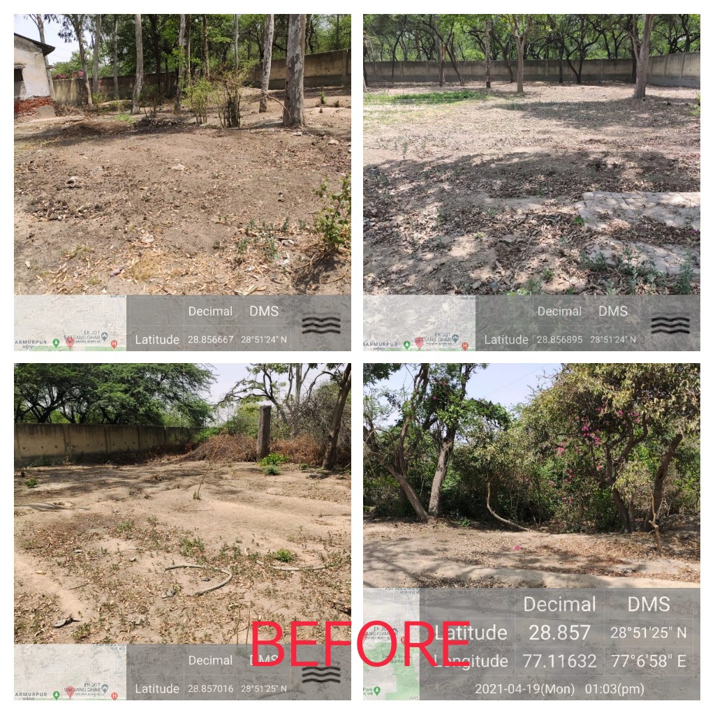 BeingVip1's tweet photo. Abandoned area turned into #green.

With sustained effort, just at #singhu border Narela , Delhi,a new butterfly  park has been developed and is open for public now. https://t.co/lfJ6q0wWoh