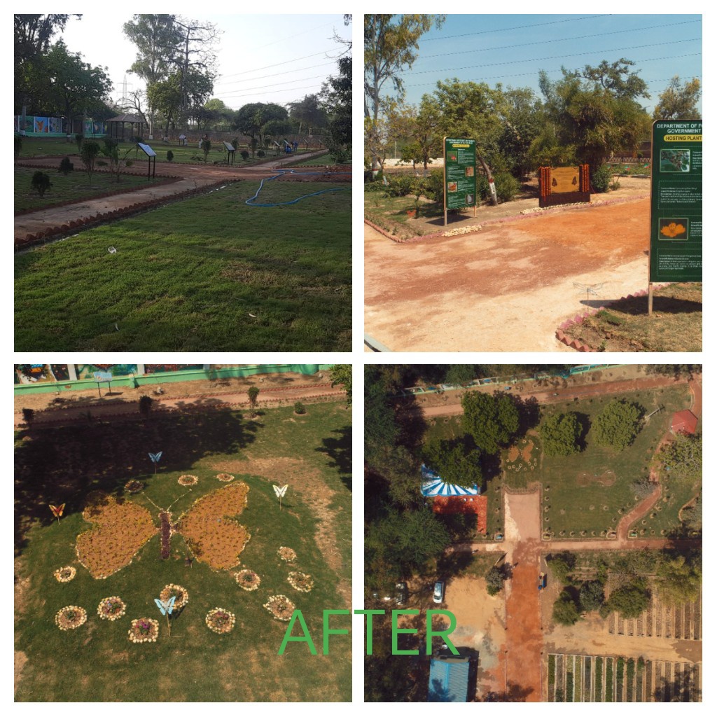 BeingVip1's tweet photo. Abandoned area turned into #green.

With sustained effort, just at #singhu border Narela , Delhi,a new butterfly  park has been developed and is open for public now. https://t.co/lfJ6q0wWoh