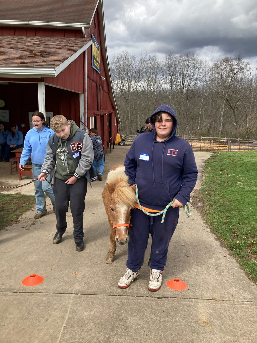 RHLSD_Colts's tweet photo. @MMS_Colts students visited Gifted Gaits, Inc for a fun filled day with horses. Look at these smiles! https://t.co/gfJ0qYwpxP