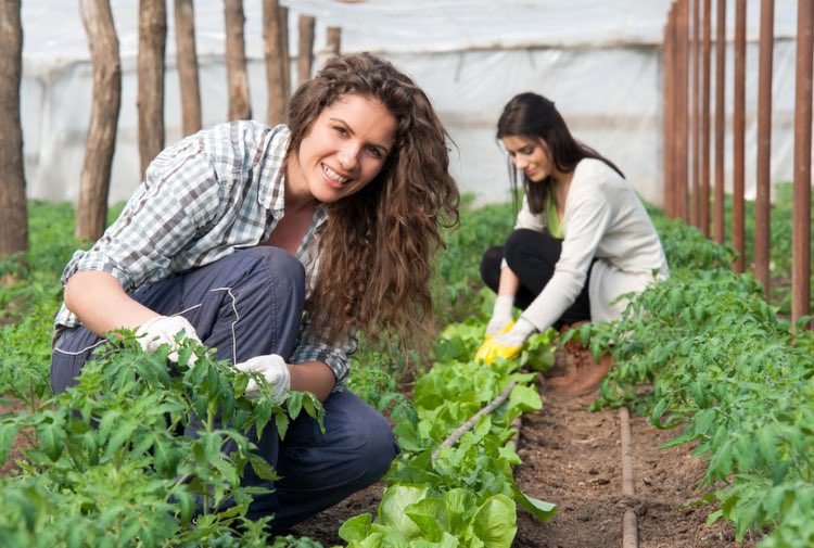 GianluColletti's tweet photo. #ISMEA - #Bando #donne in #campo. #Finanziamento a #tasso #agevolato in #favore dell'#imprenditoria #femminile in #agricoltura.
Scadenza: 30.04.2022 #gianlucacollettiinforma
👉🏻 https://t.co/VSytvsIla2 https://t.co/Tl4SJGDFy5