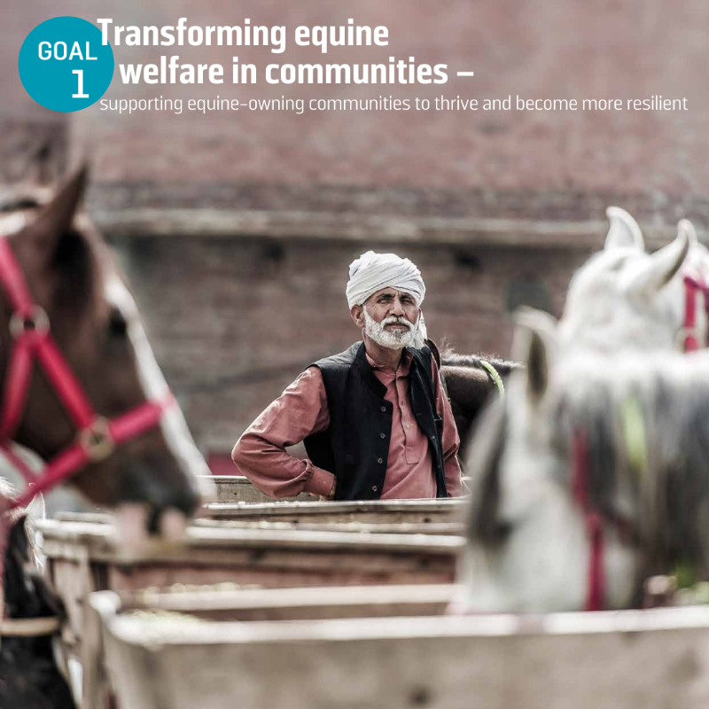 TheBrooke's tweet photo. Over the next few years, we want to reach and improve the lives of more animals and their communities than ever before – and we’re focused on three goals that we believe can get us there...