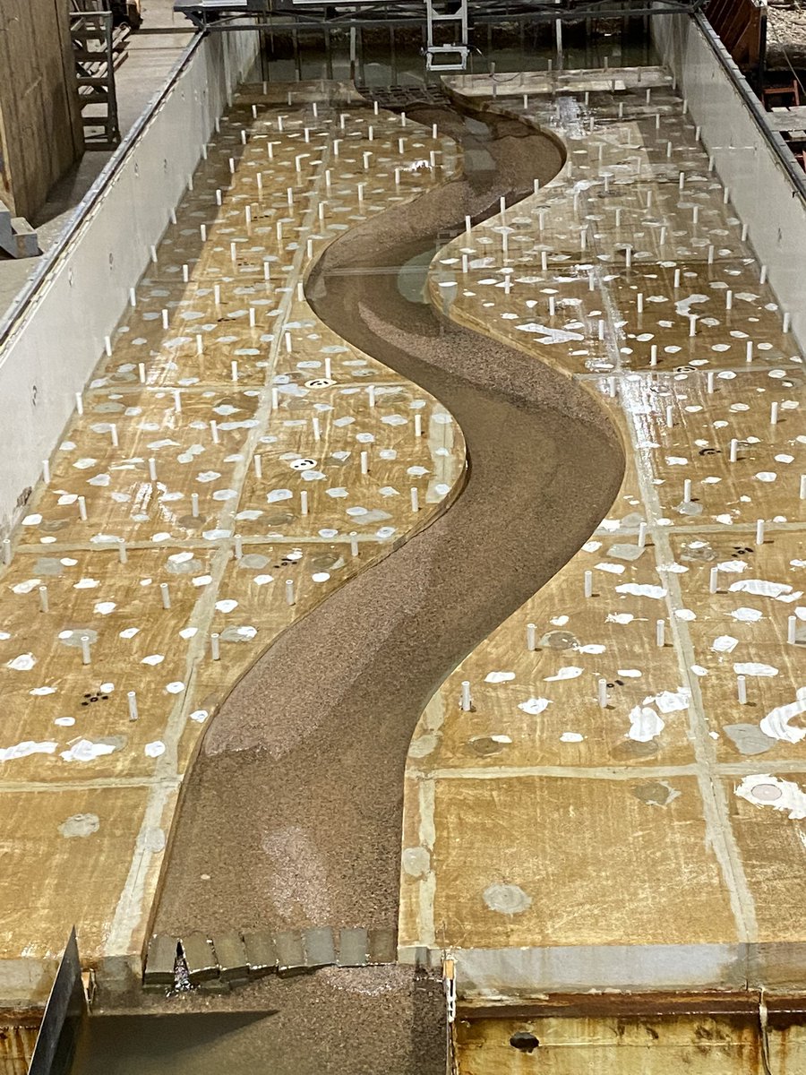 It’s a bittersweet #flumefriday as we near the end of the experimental portion of this project. We are measuring the effect of floodplain vegetation density on meandering channel flow and bed morphology. @CSU_CivE @ryanrmorrison @evan11co