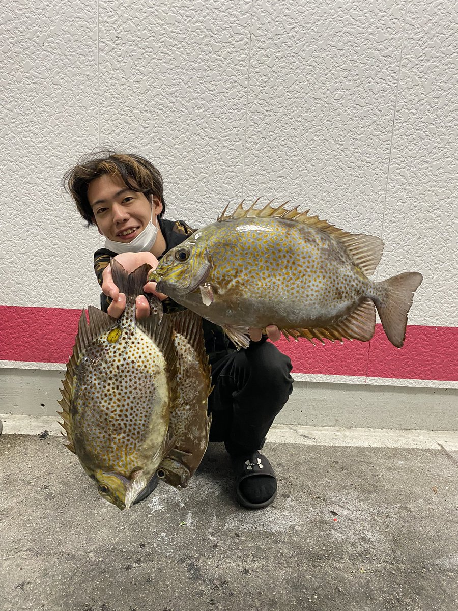 Tjb0902's tweet photo. 1号竿と2号ハリスの限界は
まだまだ先にありました笑
今日、久々に震えた😂❤️‍🔥 https://t.co/qlcpLWvKGh