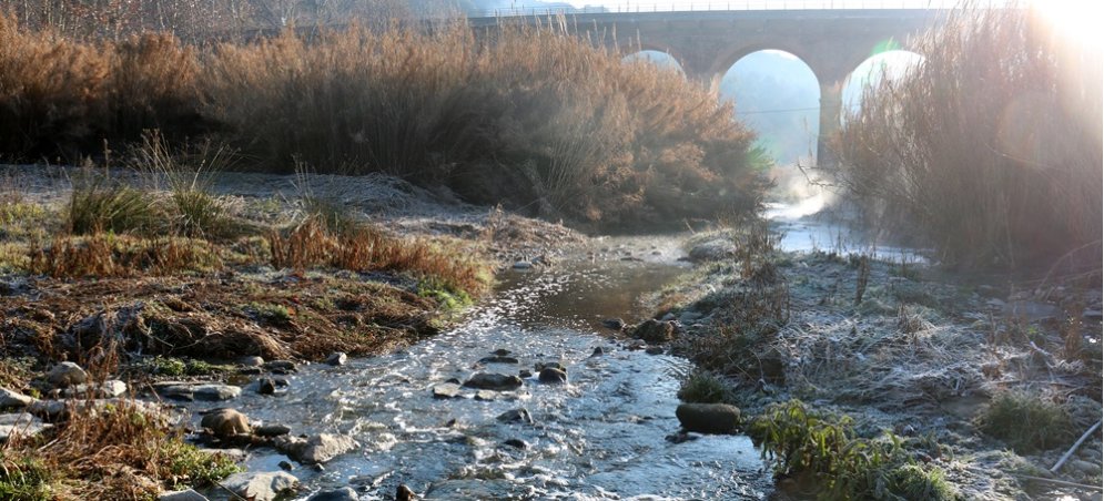 naixem amb la idea ferma de defensar el riu Ripoll al seu pas per Sabadell per la seva potencialitat com a àrea de natura i punt de trobada i convivència de qualitat

#StopSurfCity #SalvemElRiuRipoll