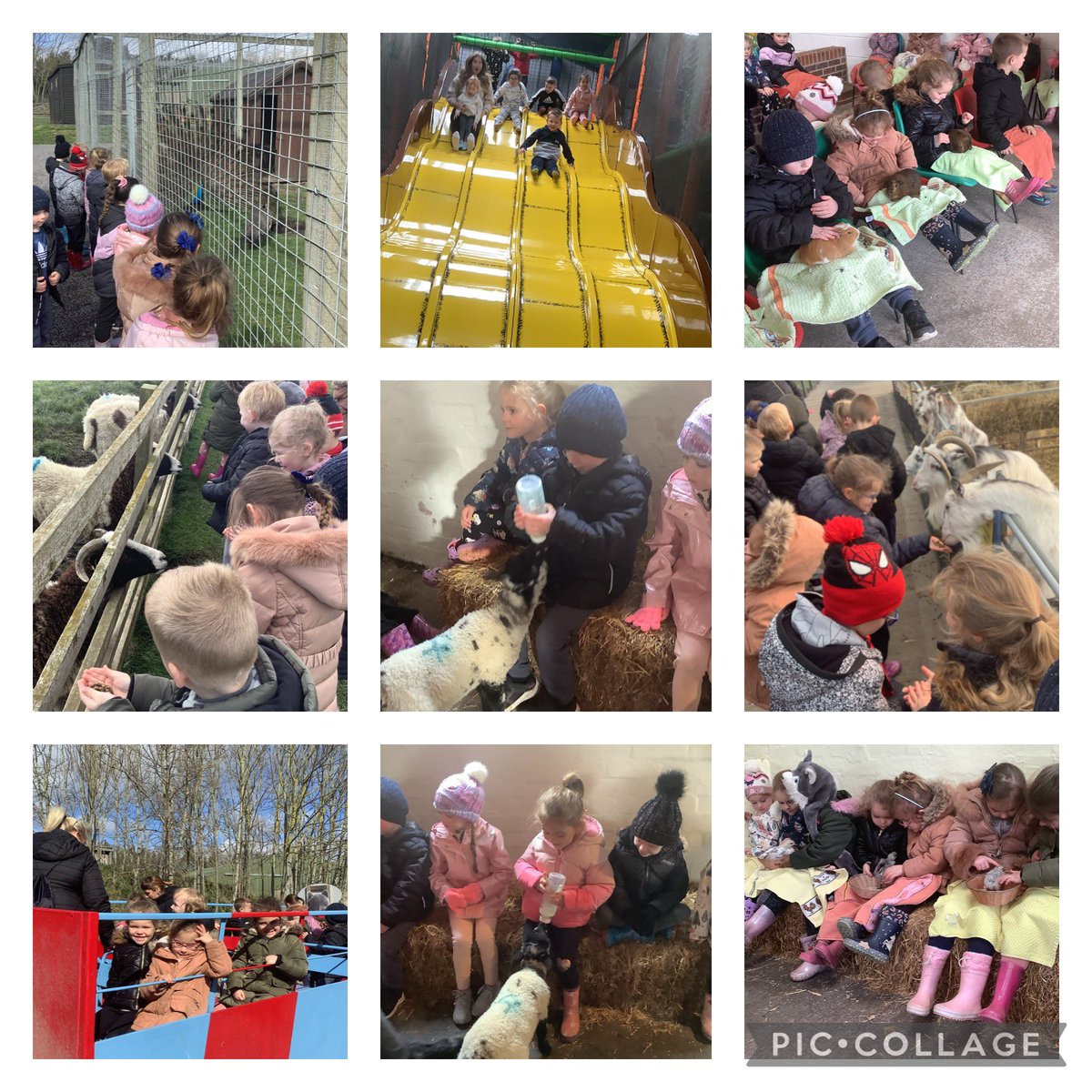 We have had a lovely day <a href="/HallHillFarm/">Hall Hill Farm</a> today! 
@FallaParkSchool @Miss_Carr_Falla @ReayLeandramiss