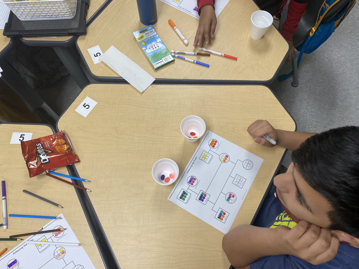 briamartinteach's tweet photo. Learning about genetics using jelly beans! #makingsciencefun #Lex1 https://t.co/4f7cgjbM2i
