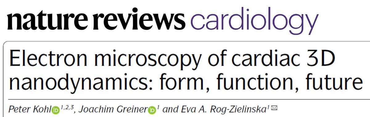 SFB1425_MakeBetterScars (@sfb1425) on Twitter photo We are very proud to have been given an opportunity to summarise the current state of 3D electron microscopy in our research area: nature.com/articles/s4156…
Congratulations Peter Kohl, <a href="/joa_gr/">Joachim Greiner</a> and Eva Rog-Zielinska! We are very proud to have been given an opportunity to summarise the current state of 3D electron microscopy in our research area: nature.com/articles/s4156…
Congratulations Peter Kohl, <a href="/joa_gr/">Joachim Greiner</a> and Eva Rog-Zielinska!