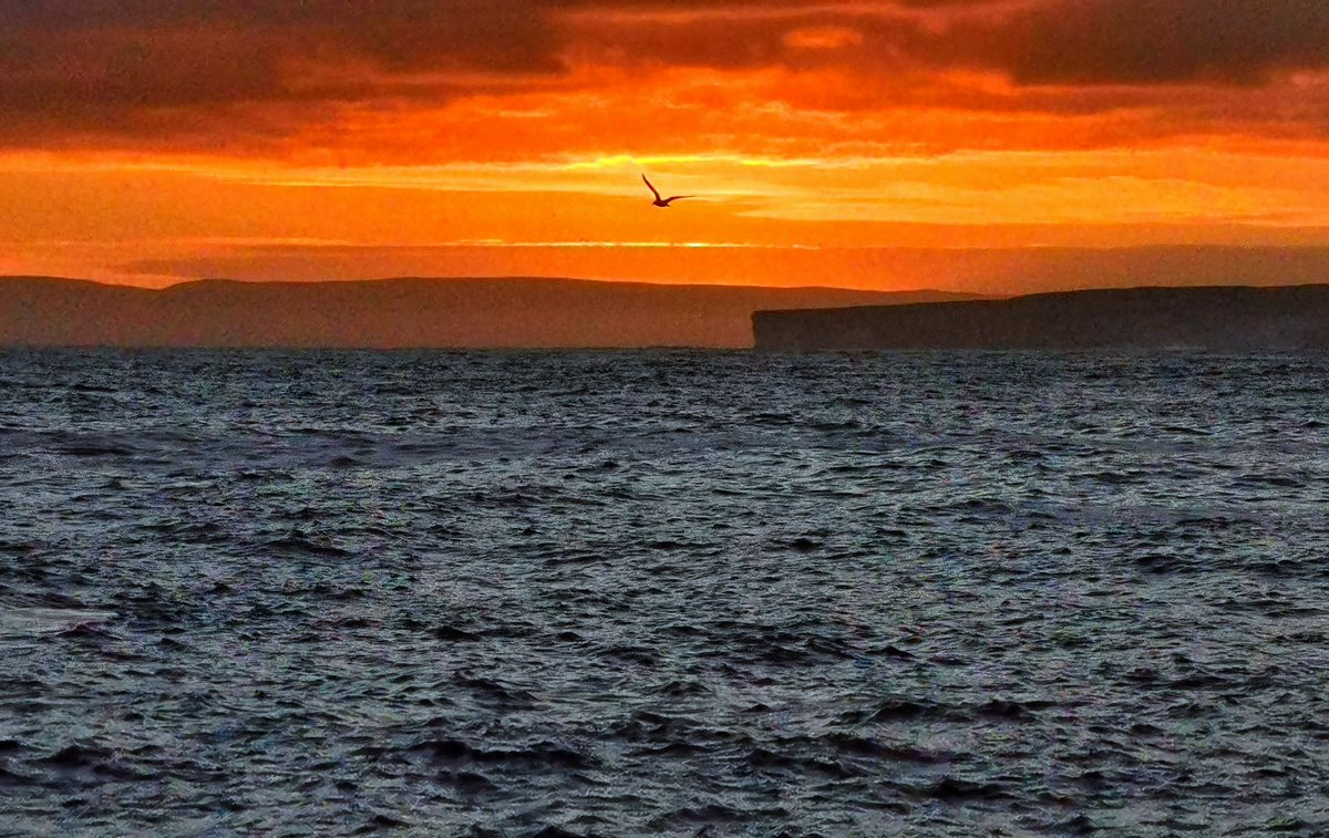 Don't say the bird has flown! 
SMART <a href="/MarineInst/">Marine Institute</a> RV Bursaries deadlines as follows:
Mackerel Egg &amp; WESPAS (June-July) is April 29!
UWTV June Survey is April 25!
UWTV August Survey is May 20!
smartseaschool.com/RVBursaries2022 = Unrivalled Learning &amp; Development Opportunities!
Good luck!
