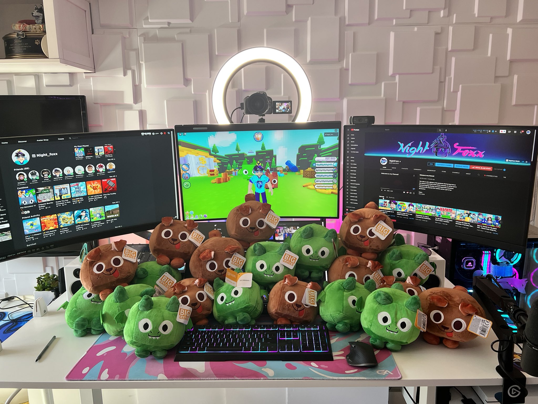 NightFoxx on X: I just released a Pet Sim X vid where I tried to get ALL  the Plushies that has ever been released. Thanks @TeraBriteGames for  helping me! There are also