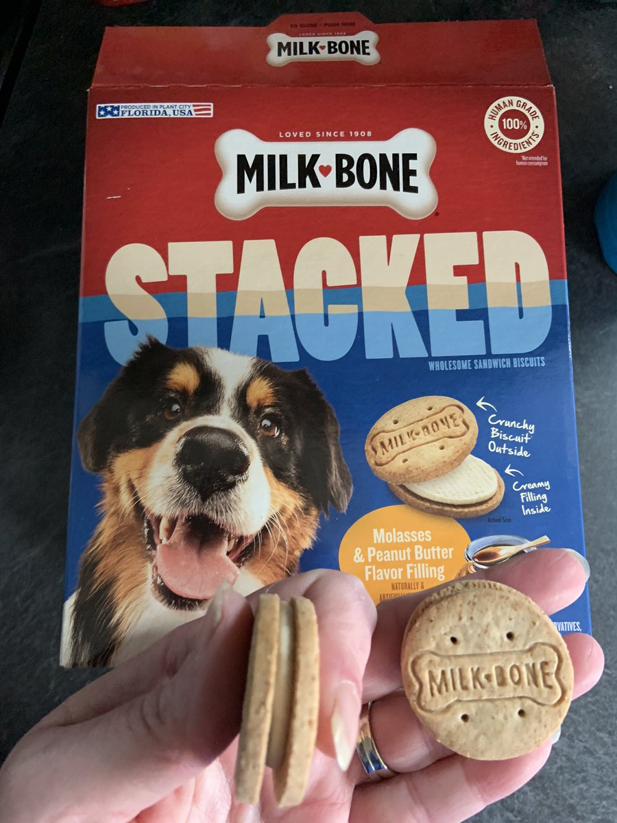 ConnAndBellaBea's tweet image. Makes me wish my kids would move back home just for a day 😂 🦴 🍪#LooksReal #CouldEasilyTrickThem #MilkBoneStacked