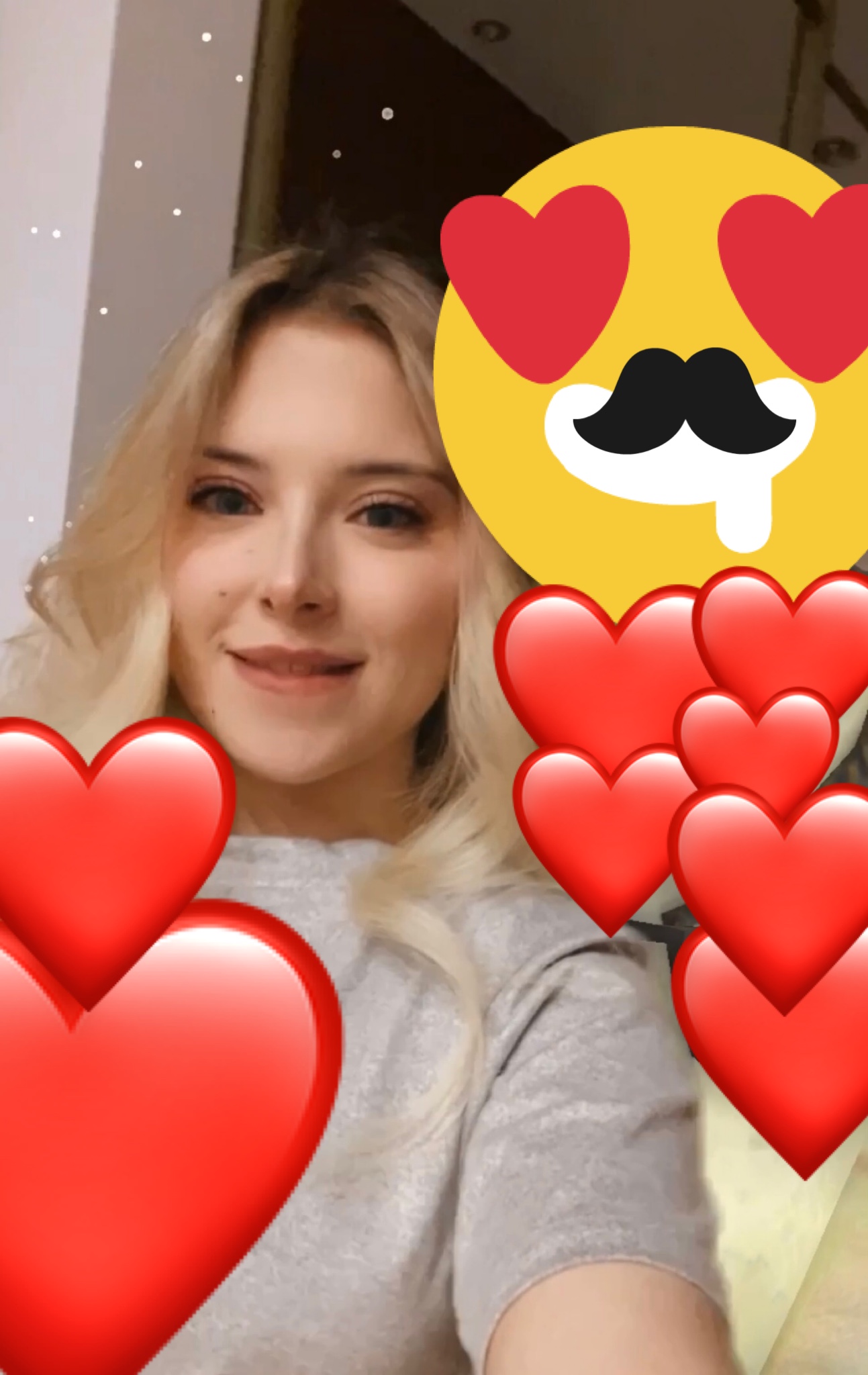 KittyCaitlin on Twitter: "Hmmm, as it turns out I can't attach the link ...