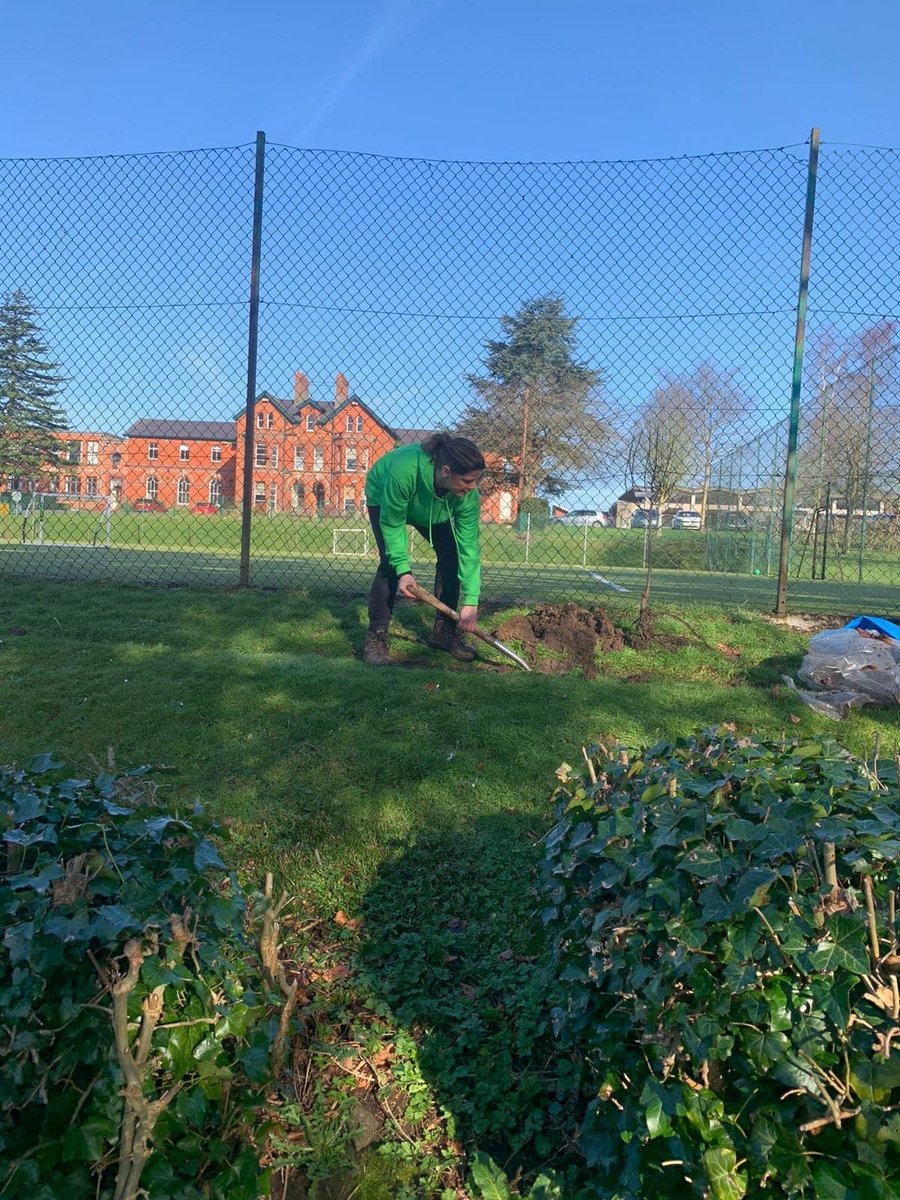 Buzzing to play our part in the amazing #dcforbees initiative where 1,263 orchards have been planted by 150 <a href="/Hostinireland/">Host In Ireland</a> partners &amp; community groups in 4 months 🐝🌸

Our orchards were donated to <a href="/kgardencooks/">Kindergardencooks</a>, a community group passionate about cooking &amp; gardening