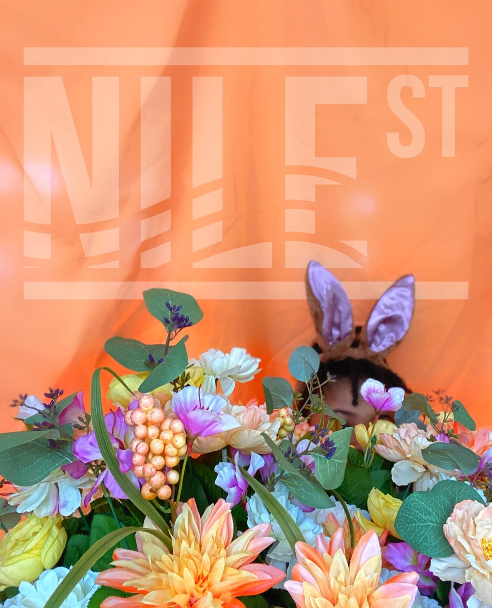 TheNileStreet's tweet photo. Can you spot our little Nile Street Easter bunny??🐰🌸

Swipe, and there she is! The future of Nile Street.

Some of her favorite treats and toys will be on Nile Street. Launching this summer! 
 #HappyEaster
#NileStreet #TheChildrenAreOurFuture #JoinTheNeighborhood https://t.co/0JGdnuA7QG