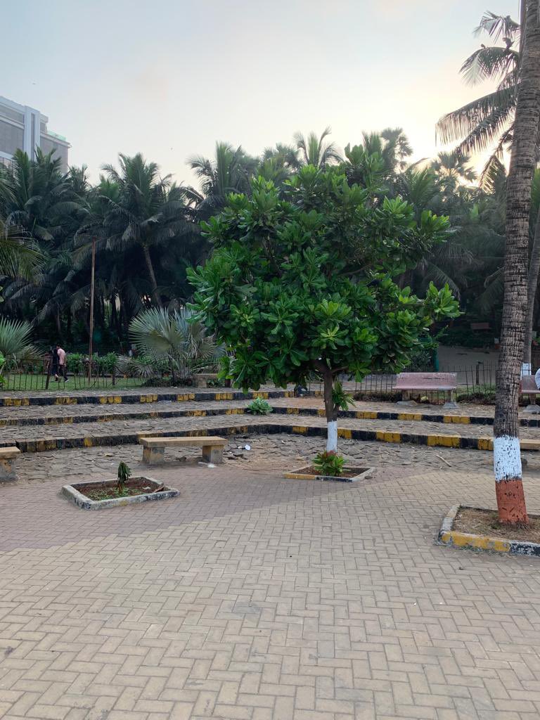 mohan_monteiro's tweet photo. @Asif_Zakaria @mybmcWardHW great job on the Bandra Fort promenade and streetlights! Please install 2-3 streetlights in the exercise area for early morning fitness activities - some suggested spots in the photos. @MCGM_BMC @ShelarAshish @MNCDFbombay @bandrabuzz @CommunityBandra https://t.co/L7hbWCXf80